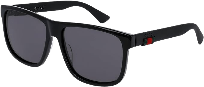 GUCCI_GG0010S