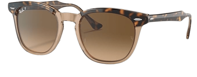 Ray-Ban_Hawkeye_RB2298