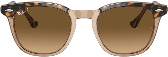 Ray-Ban Hawkeye RB2298