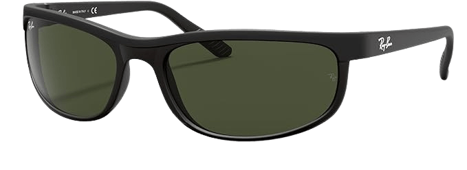 RAY-BAN PREDATOR 2